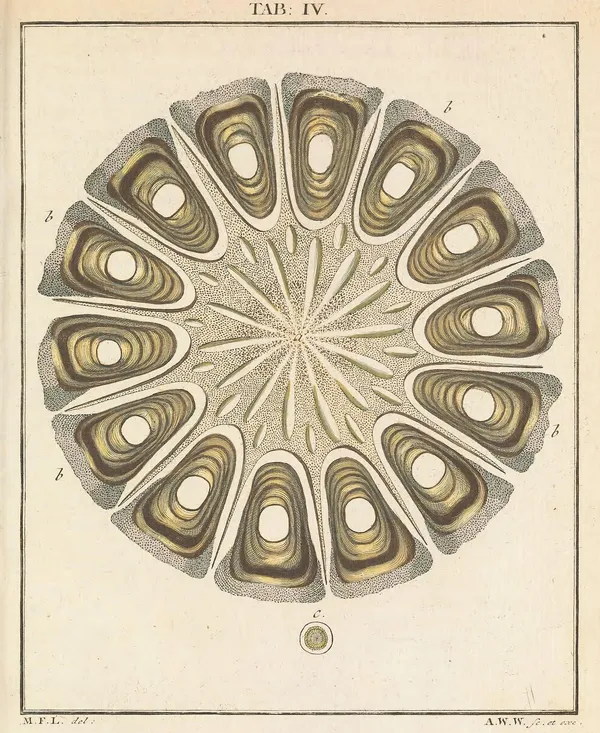 Imagen para Potenciamiento Empresarial y Profesional