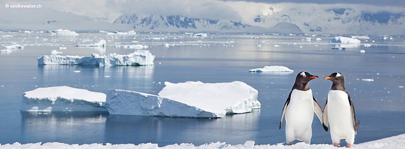 Imagen para IA aplicada a bajo costo: cómo automatizamos un flujo de contenidos con Haiku