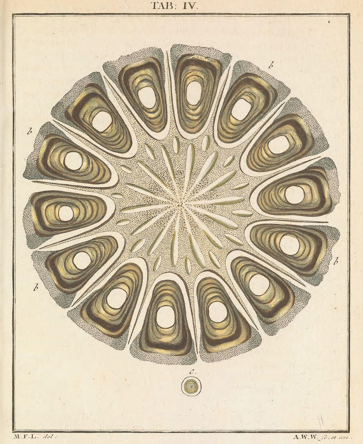 Imagen para Cómo digitalizar tu negocio sin morir en el intento: guía práctica